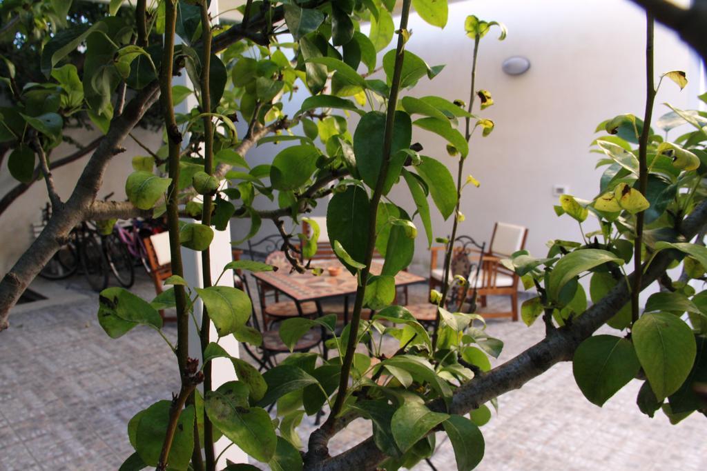Il Giardinetto Acomodação com café da manhã Trapani Exterior foto